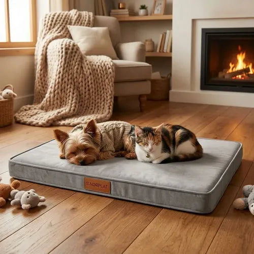 Cama Colchon Ortopedico Norplat 90cm Xxl - Perro Antiestres  Gris Claro Ortopédico