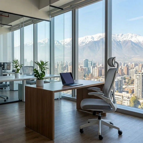 Silla Oficina Escritorio Ergonomica Norplat Lumbar Pro 4d