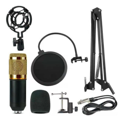 Kit Micrófono Estudio Condensador Profesional Bm800 + Brazo Negro/dorado
