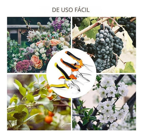 3 Tijeras Podadoras Norplat - Tijeron Poda Acero Inoxidable Multicolor