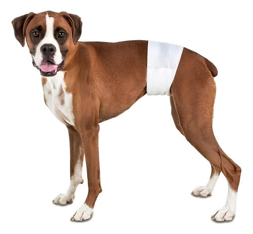 24 Pañales Perros Macho Pañal Para Gato - Norplat - Blanco - S