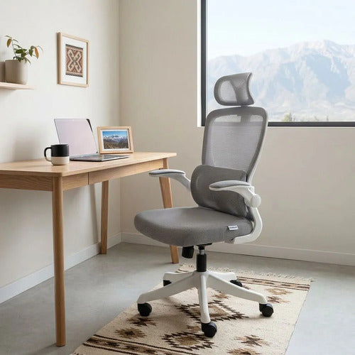 Silla Oficina Escritorio Ergonomica Norplat Lumbar Ultraflex