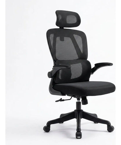 Silla Oficina Escritorio Ergonomica Norplat Lumbar Ultraflex
