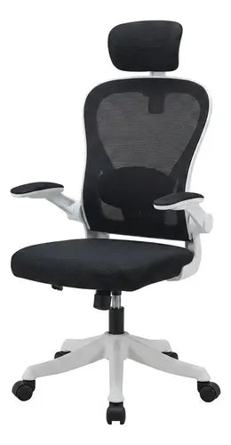 Silla Oficina Escritorio Ergonomica Norplat Lumbar Pro 4d