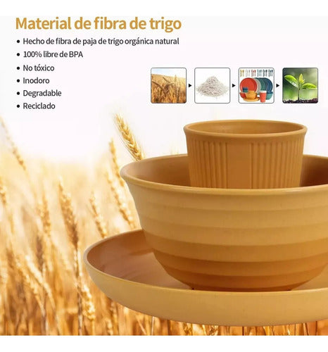 Juego Vajilla 36 Platos Plásticos Reutilizable Color Norplat