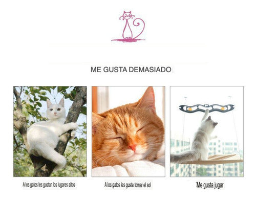 Hamaca Para Gatos Cama De Gato Cama Colgante Ventana - Wuf Beige Liso