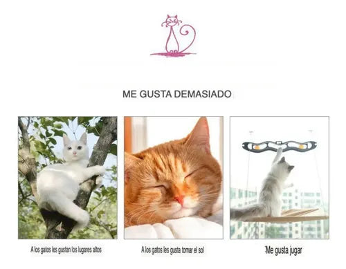 Hamaca Gato Norplat Cama Para Gatos Cama Colgante Ventana Beige Liso
