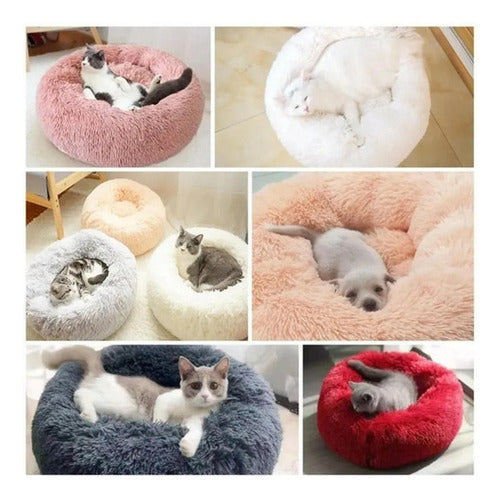 Cama Mascotas Antiestrés Peluda Perros Gatos 50 Cm - Norplat Arcoíris