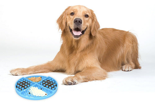 Plato Anti Ansiedad Come Lento Para Perro Mascota - Celeste Celeste