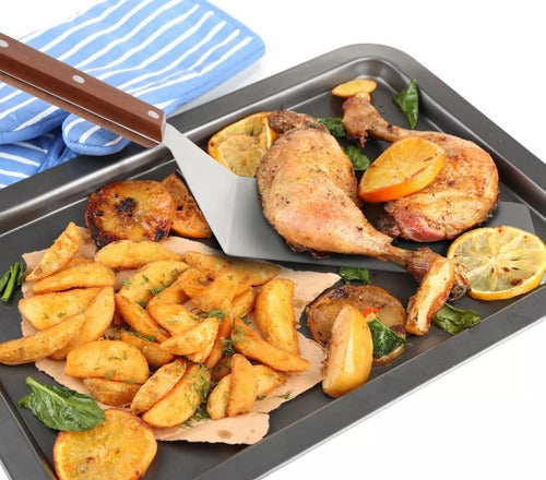 Espatula Para Plancha Churrasquera Pala Pizza Asado Norplat Plateado