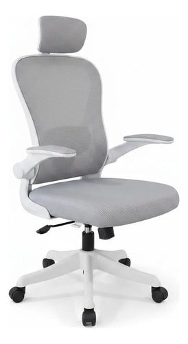 Silla Oficina Escritorio Ergonomica Norplat Lumbar Pro 4d