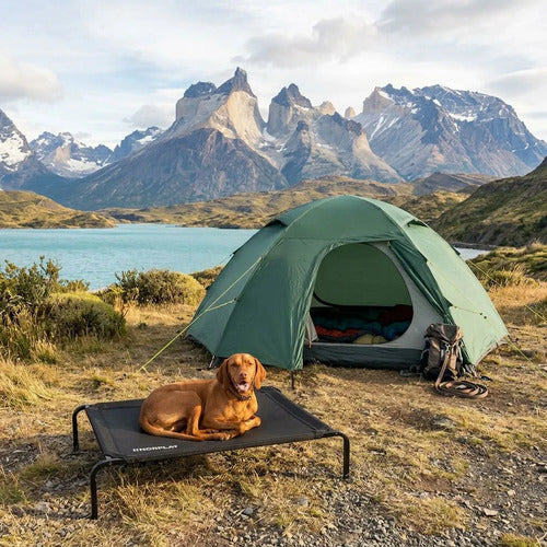 Cama Elevada Norplat Altura Para Perro Gato Talla L Grande Elevada