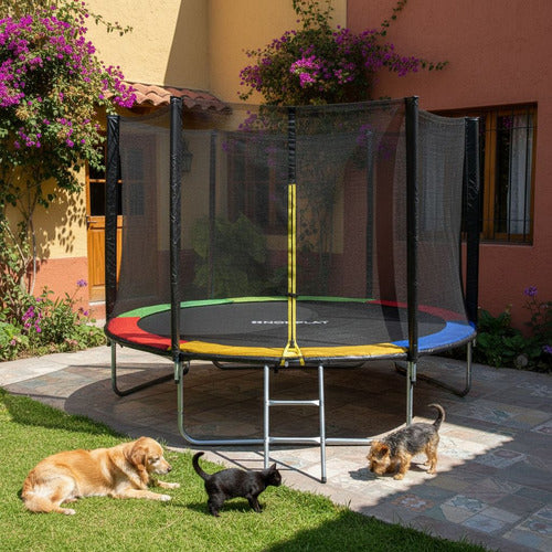 Cama Elástica Norplat Para Niños 10pies 3.05mt Con Escalera Negro Multicolor