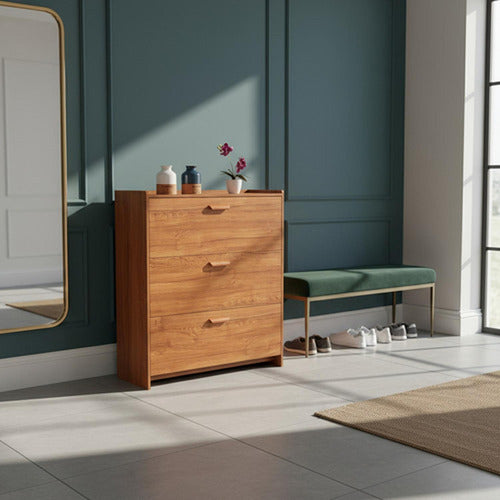 Zapatero Recibidor Mueble Para Zapatos Organizador - Norplat Marrón