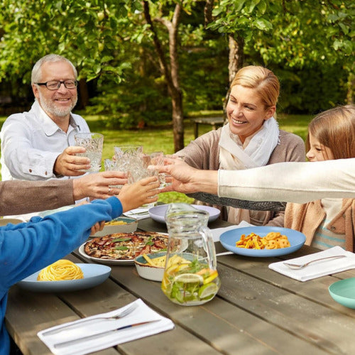 15 Platos Plásticos Reutilizable Colores 22cm - Norplat Multicolor Lisa