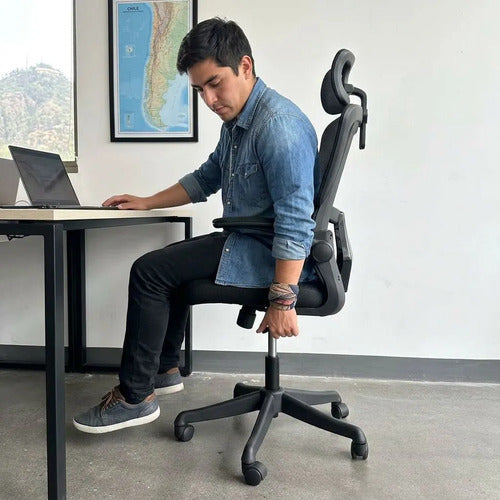 Silla Oficina Escritorio Ergonomica Norplat Lumbar Ultraflex