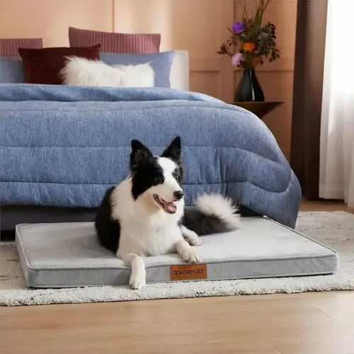 Cama Colchon Ortopedico Norplat 110cm Xxl Perro Antiestres  Gris Claro Ortopédico