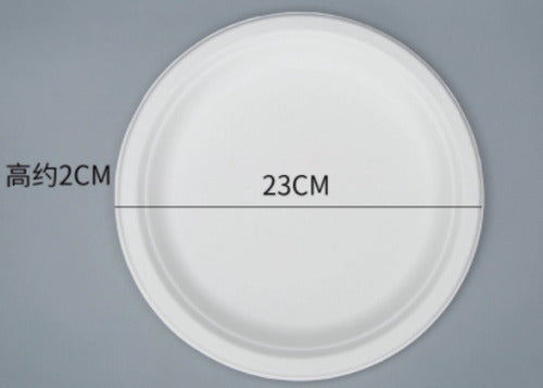 Platos De Pulpa Natural Compostable 22 Cms X 100 Uds - Cukin Blanco Liso