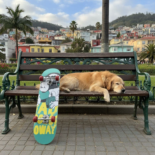 Tabla Skate Skateboard Madera Arce 7 Láminas 32'' - Norplat Mono A22