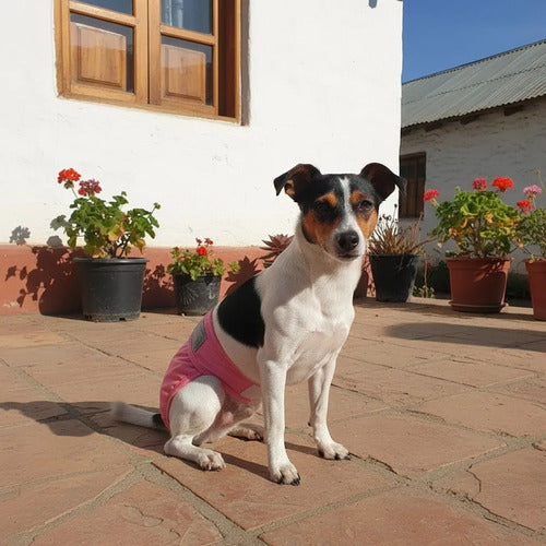 Calzón Celo Perra Pañal Lavable Reutilizable Norplat Rosa M