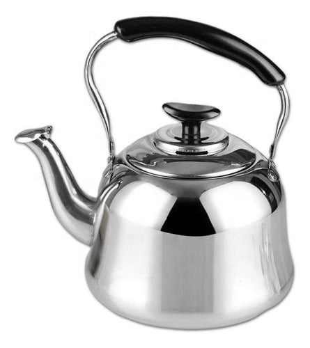 Tetera Infusor Acero Inoxidable Filtro Silvadora 1l Norplat Plateada