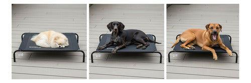 Cama Elevada Altura Para Mascota Perro Gato Talla M Norplat Negro Elevado