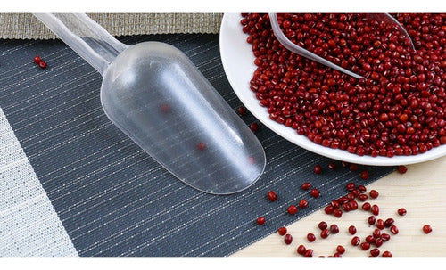 Poruña Pala Plástico Calidad Alimentaria 30 Cm Transparente Transparente