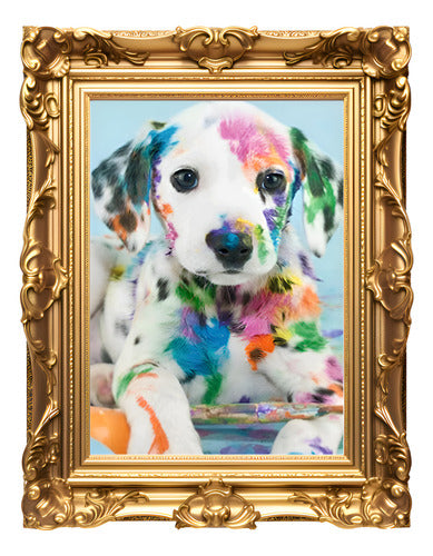 Bordado Pintura Diamante - 40x30cm Diseños Varios - Norplat 16 - Dalmata