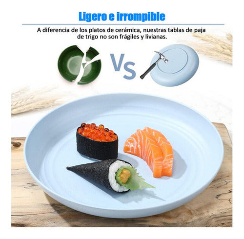 15 Platos Plásticos Reutilizable Colores 22cm - Norplat Multicolor Lisa