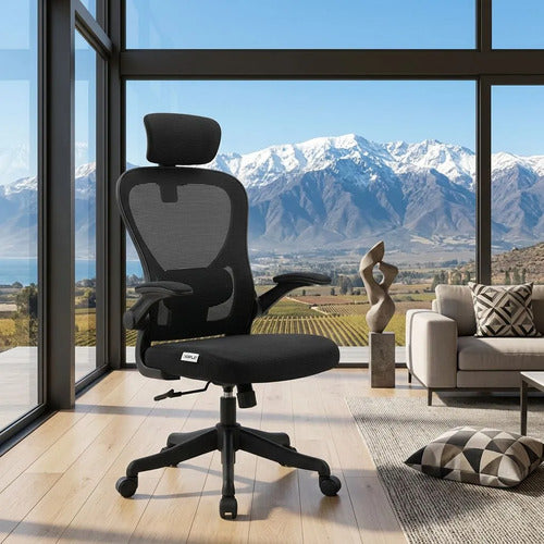 Silla Oficina Escritorio Ergonomica Norplat Lumbar Pro 4d