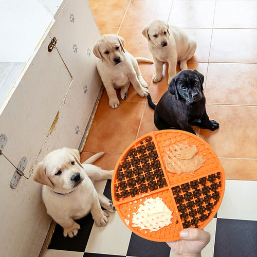 Plato Anti Ansiedad Come Lento Para Perro Mascota - Celeste Celeste