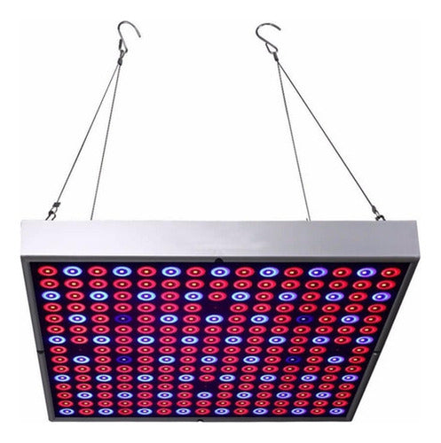 Foco Led Indoor Luz Para Crecimiento Plantas Cultivo Norplat Cultivo Plateado