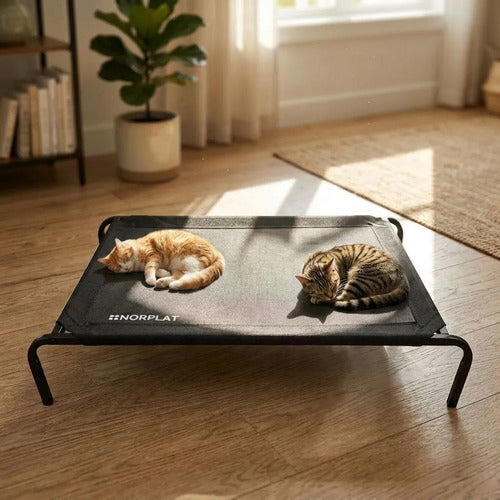 Cama Elevada Norplat Altura Para Perro Gato Talla L Grande Elevada