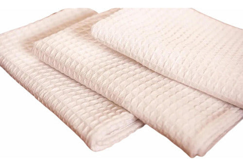 Set 3 Huasca Paño De Cocina Repasador Gastronomico - Norplat Blanco