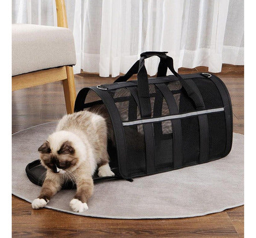 Bolso Transporte Mascota Norplat - Transportador Perro Gato Negro