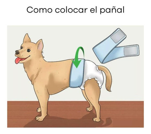 24 Pañales Perros Macho Pañal Para Gato - Norplat - Blanco - S