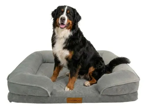 Cama Antiestres Norplat 90cm Xl - Perro Colchon Ortopédica  Gris Claro Ortopédico