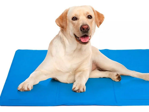 Manta De Gel Frio Refrescante 90x50cm L Perros Gatos Norplat Azul Liso