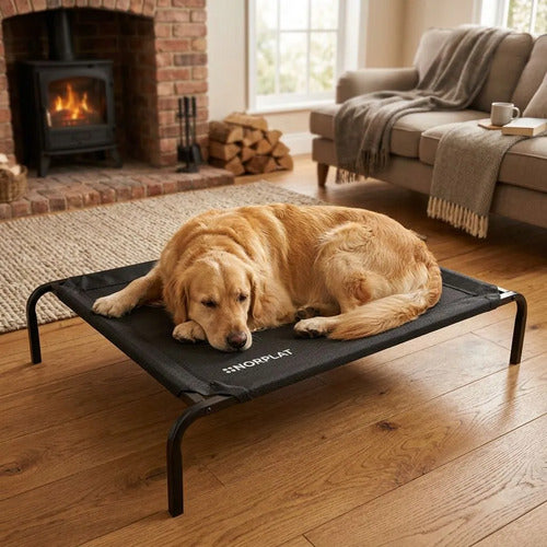 Cama Elevada Norplat Altura Para Perro Gato Talla L Grande Elevada