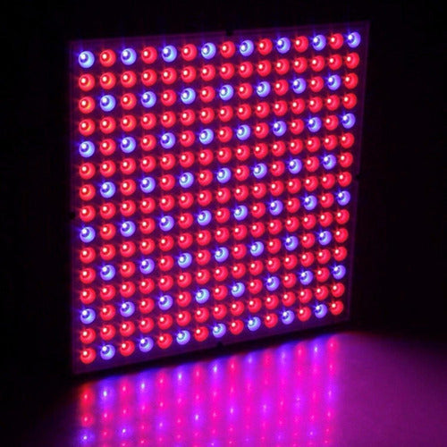 Foco Led Indoor Luz Para Crecimiento Plantas Cultivo Norplat Cultivo Plateado