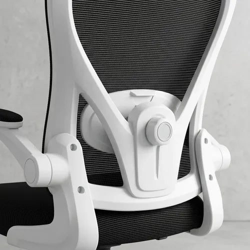 Silla Oficina Escritorio Ergonomica Norplat Lumbar Pro 4d