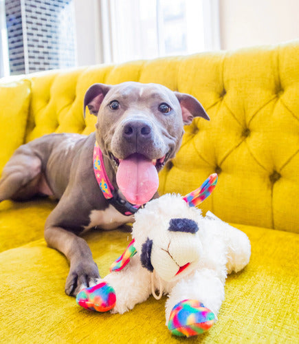 Peluche Oveja Con Texturas Y Sonido Para Mascotas Y Niños Blanco Con Patas Multicolor