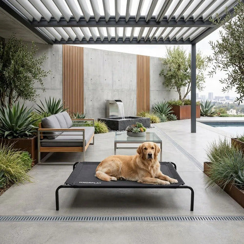 Cama Elevada Norplat Altura Para Perro Gato Talla L Grande Elevada