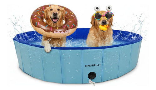 Piscina Para Perros Plegable Verano Mascotas 160x30 Norplat