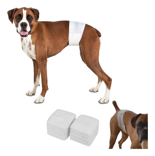 Pack 12 Unid Pañal Sanitario Desechables Mascotas Perra Gata - Blanco - Xl