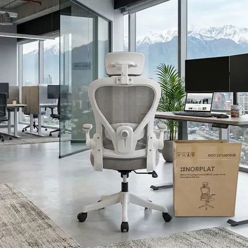 Silla Oficina Escritorio Ergonomica Norplat Lumbar Pro 4d