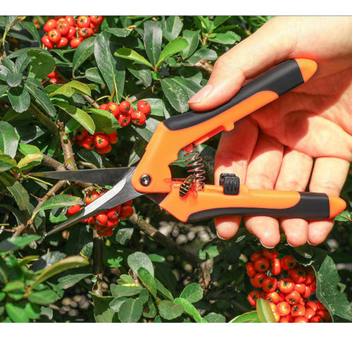 3 Tijeras Podadoras Norplat - Tijeron Poda Acero Inoxidable Multicolor