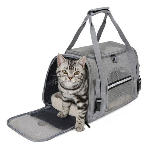 Bolso Transportador Mascota Gato Perros Pequeños - Norplat Azul