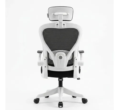 Silla Oficina Escritorio Ergonomica Norplat Lumbar Pro 4d