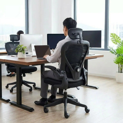 Silla Oficina Escritorio Ergonomica Norplat Lumbar Pro 4d